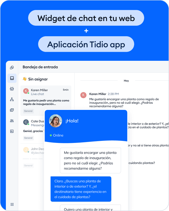 Tidio Live Chat App