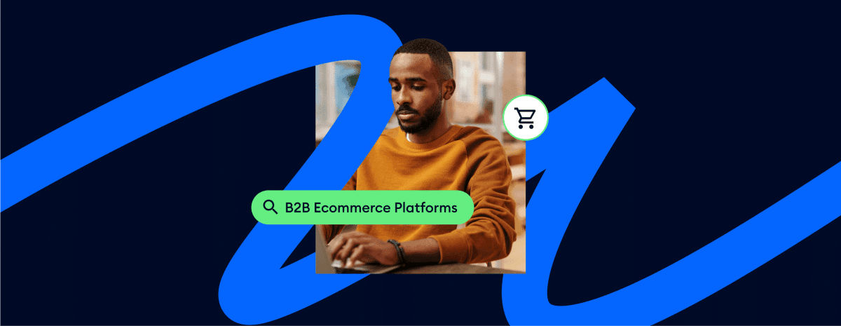 b2b ecommerce platform thumbnail