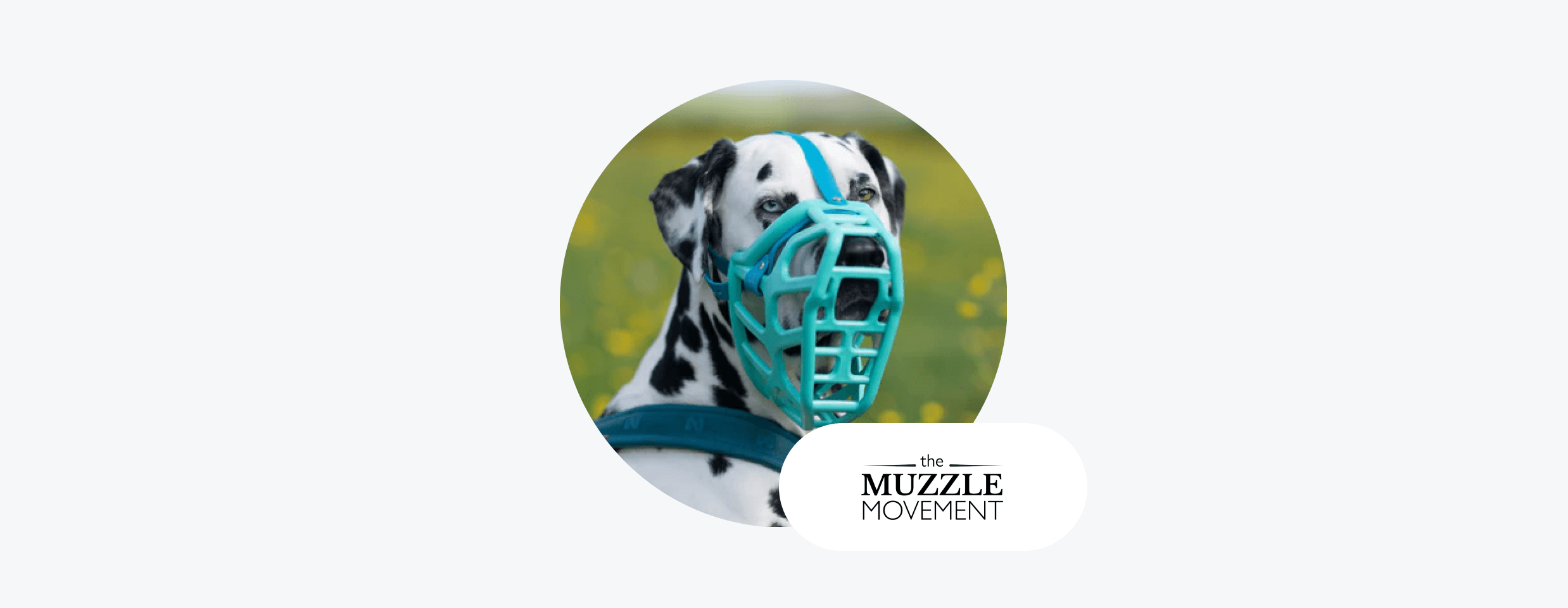 the muzzle movement case study cover image
