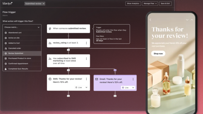 klaviyo abandonment platforms example