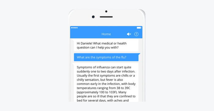 healthcare chatbot development example