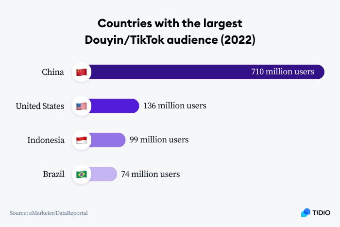 15 TikTok Statistics & Trends You Should Know In 2024