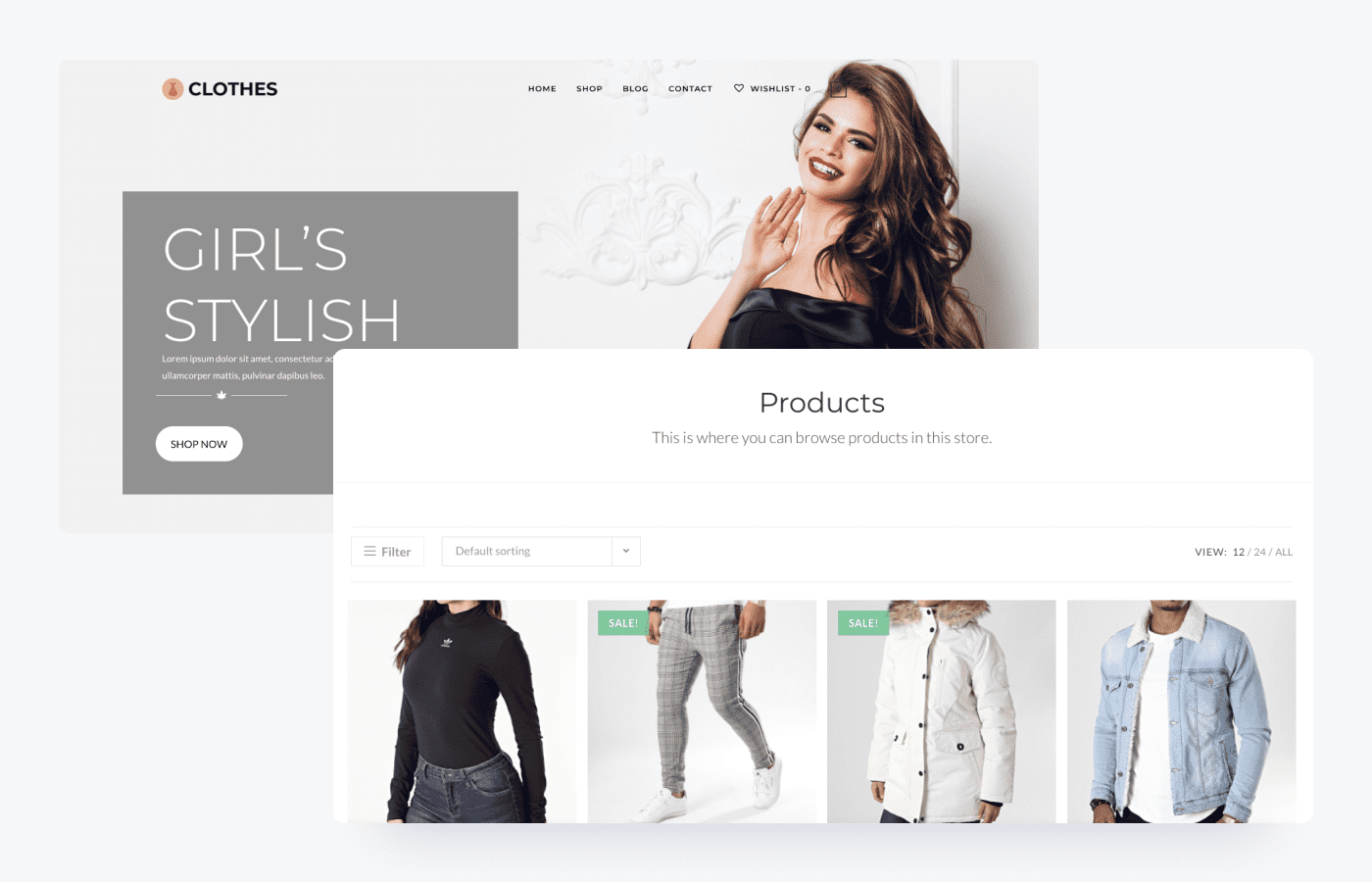 40 Best Ecommerce WordPress Themes (2024)